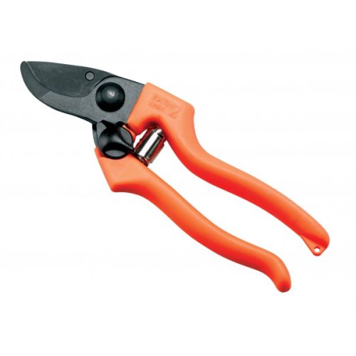 Forbice da vigna professionale Ausonia Patin 2 cm 19,5